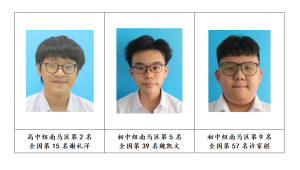 陈景润杯数学比赛, 本校获得南马区初中组团体奖第四名